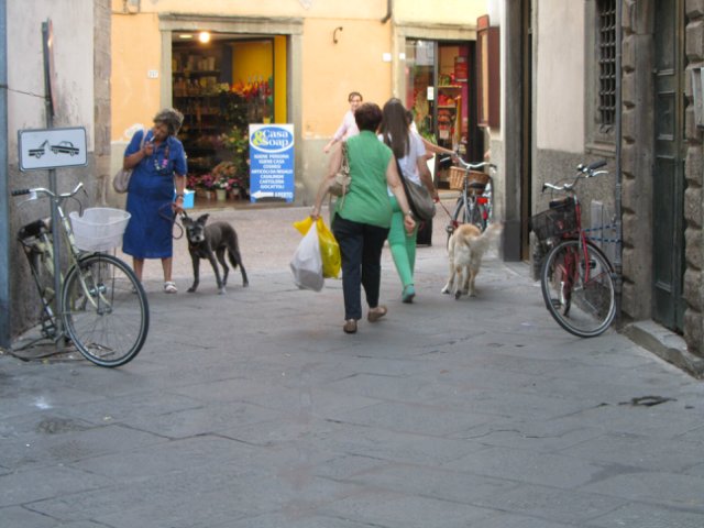 "Моя Италия". Часть 3 - Виареджо, Лукка, Пиза