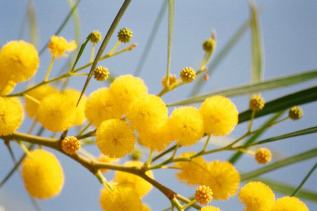 67 день года или Трубка пятнадцать, прицел сто двадцать. Предпраздничная болталка