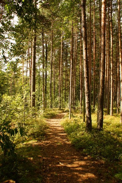 Назад в прошлое | Бэйбики Назад в прошлое — Болталка и разговоры обо всем: жизнь