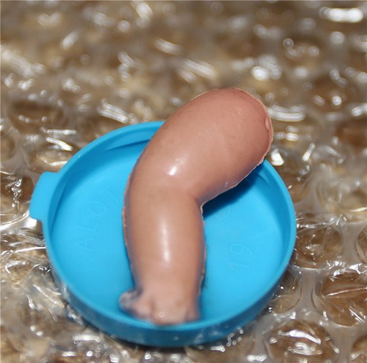 Полечим! Целлулоидный лак (фото 5)