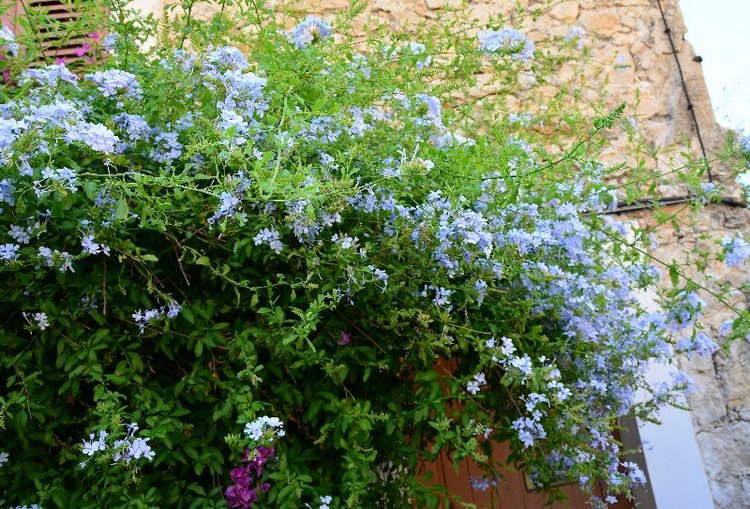 Ницца, Марсель, море и горы