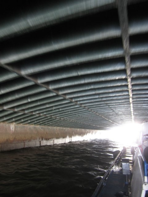 Приглашаем на водную экскурсию по Петербургу