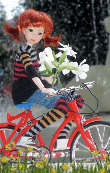 Велик, Мурзик и цветы — Куклы и тела Obitsu (Обитсу): 1/6 (фото 5)