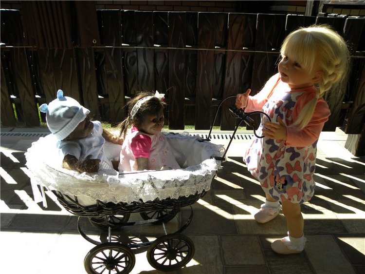 Моя Незабудка приехала домой (фото 4)