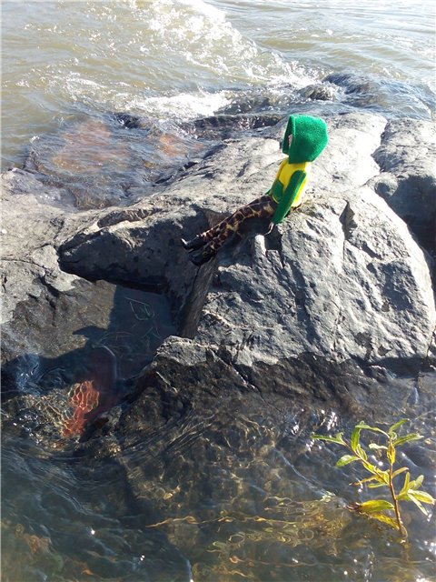 Моя Родина-Кузбасс или прогулки Тристен (фото 7)