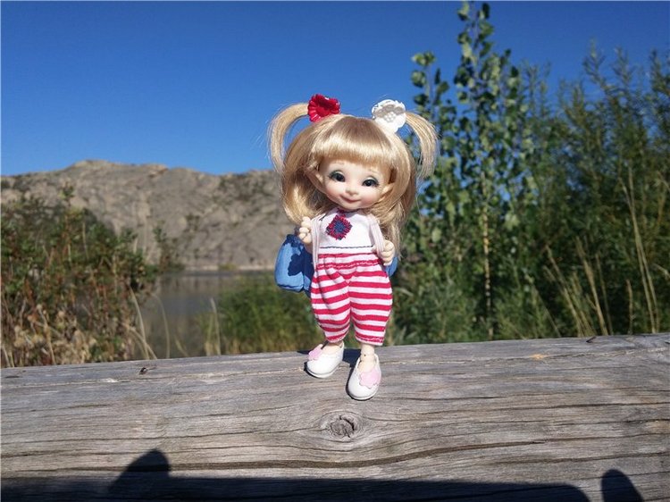 Сибинские озера. Фросенька-эльф высокогорный. ReaiPuki Pupu (фото 9)