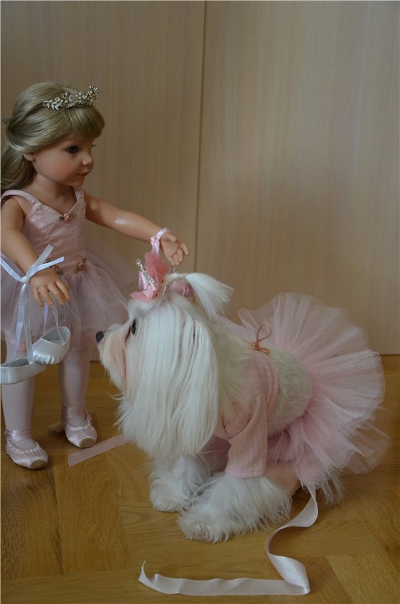 Балерина Хлоя или наше участие в конкурсе "Кукла и питомец"