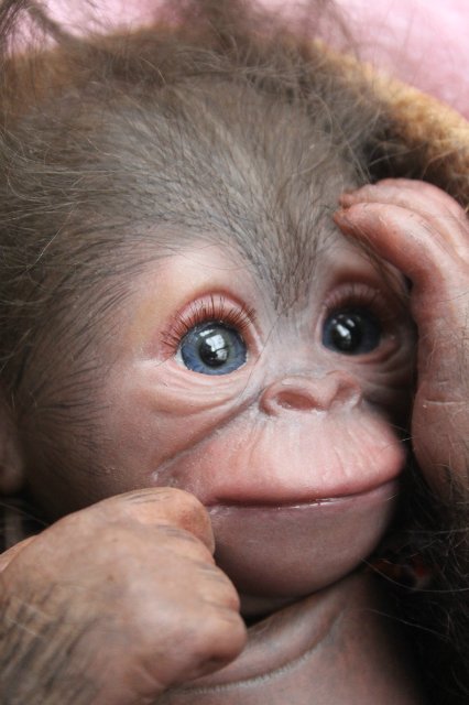 Обезьянка Bindi кукла реборн Элины Кудрявцевой