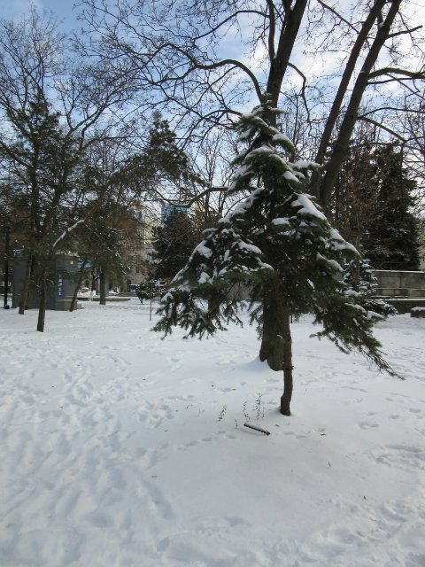 Чем бы заняться юному лорду 30 декабря