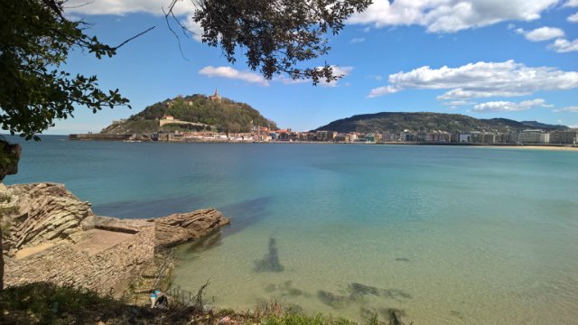 Пегий пёс, бегущий краем моря