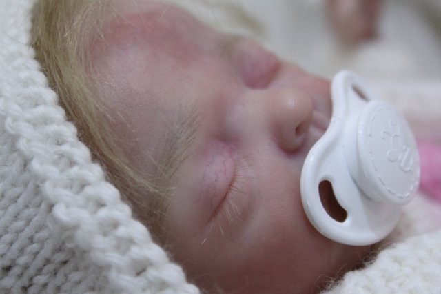 Х Московская международная выставка МишкаГрад 2016 (фото 7)