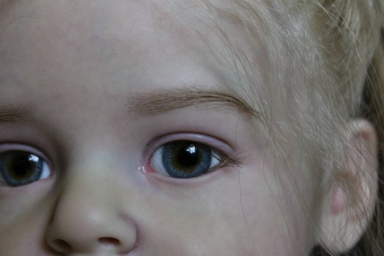 Мои любимые Эмилички! Куклы реборн Шепелевой Людмилы