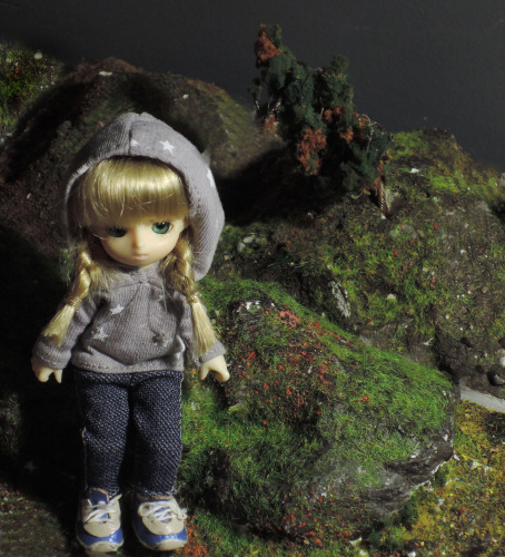 Юлька в Питере — Куклы Brownie (Брауни) Felix Doll: Tiny BJD (БЖД) (фото 10)