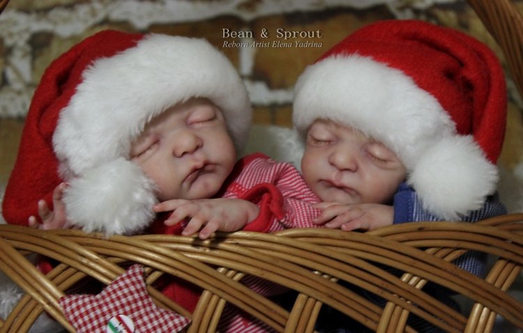 Малыши Bean & Sprout. Куклы реборн Елены Ядриной