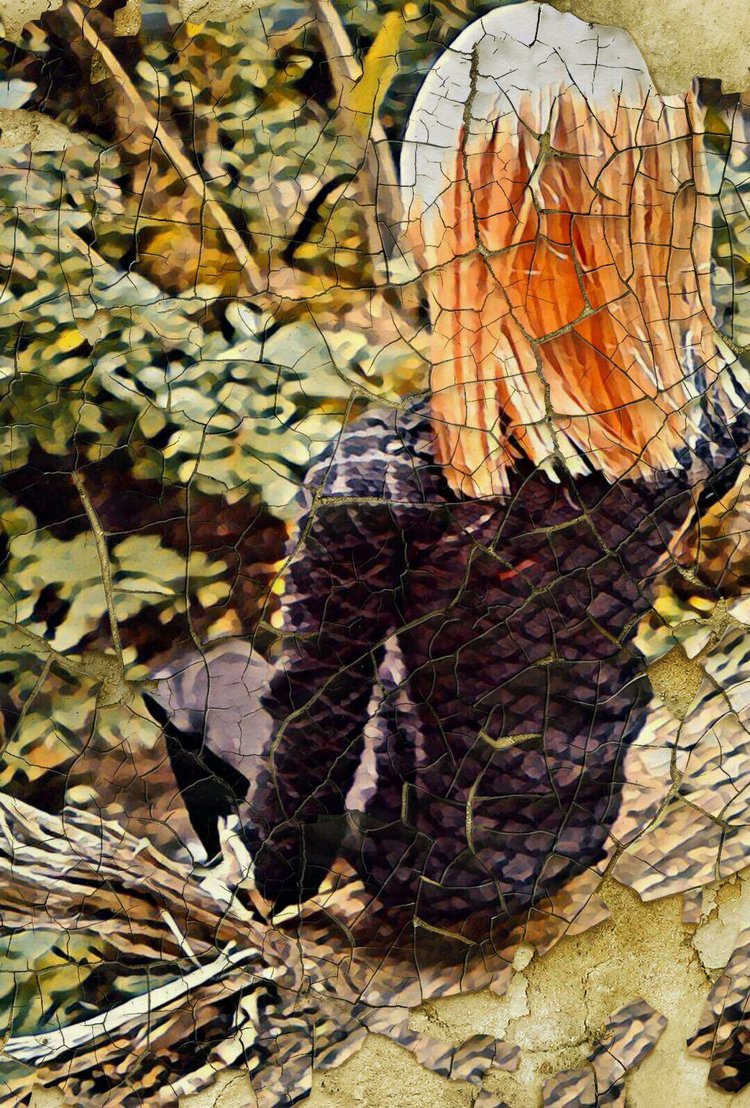 Простенькая программа для редактирования фото на телефоне (фото 4)