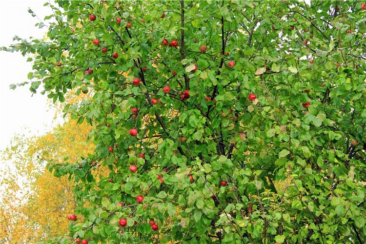 Тверской Водопад — Туризм и путешествия: фотоотчеты из поездок