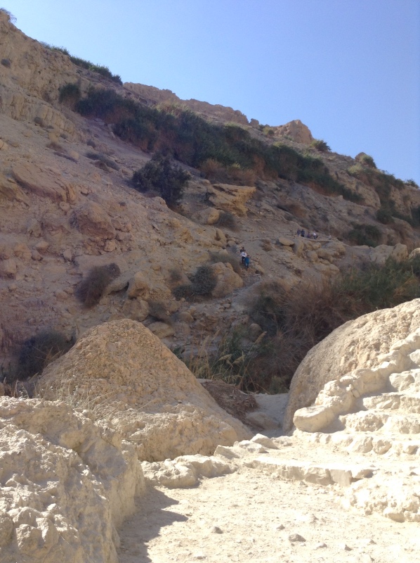 Белое солнце пустыни ч. 6. История и археология Эйн- Геди. Содом и Гомора (фото 2)