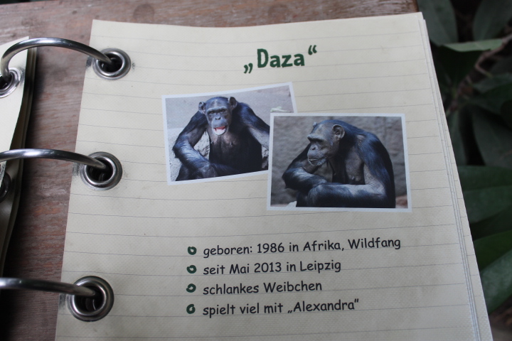 По Германии: зоопарк Лейпцига, часть 3