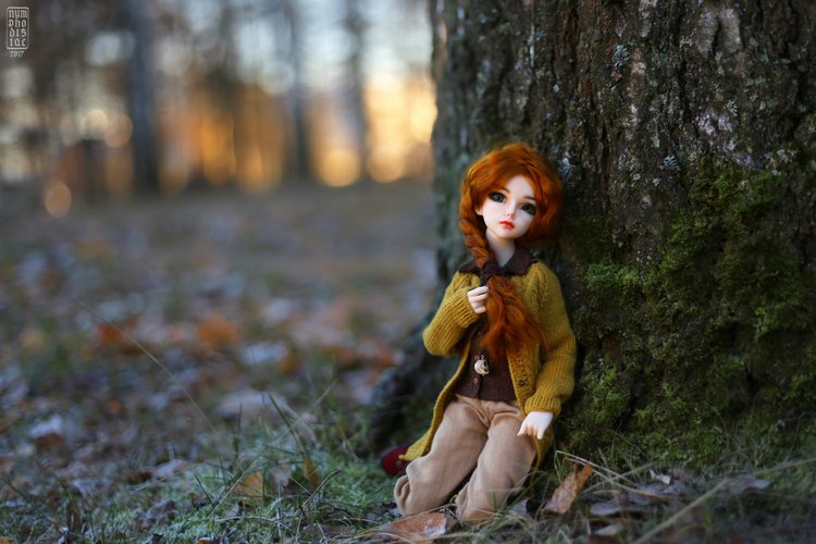 Мирвен в парке в последние дни осени (фото 2)