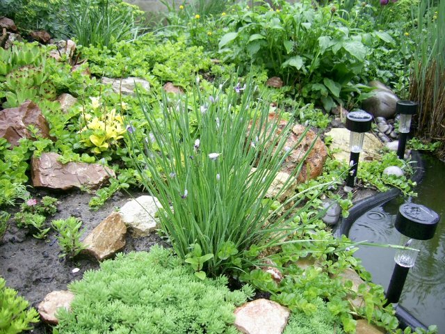 Прогулка между каплями дождя :) Коллекционная кукла Пиппина от Сюзан Липпл (фото 9)