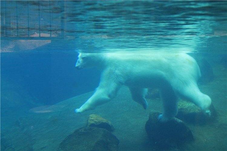 Командировка в Данию фейсинки (Galoob Baby Face doll)