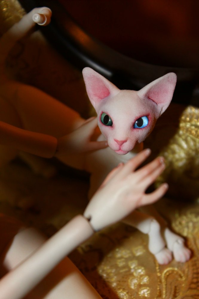 Жители моего дома — Авторские работы в частных коллекциях: домашние фото кукол и игрушек