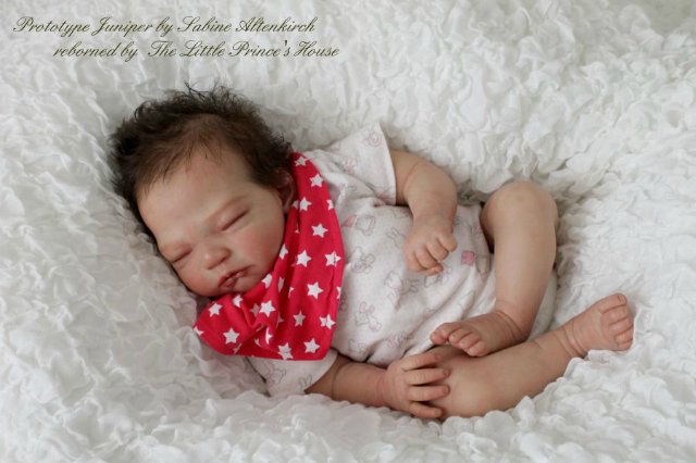 Прекрасная спящая белоснежка Прототип молда Juniper kit by Sabine Altenkirch