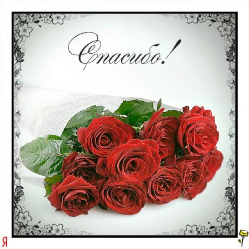 Мал золотник, да дорог - долгожданная малышка БИТСИ от Моники Левениг