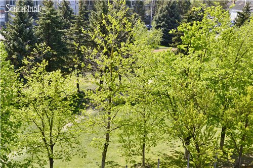 Весна пришла! Пальтишки для малышек (фото 4)