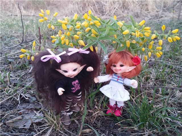 Поездка за подснежниками. Или просто Корппи | Бэйбики Поездка за подснежниками. Или просто Корппи (фото 5)