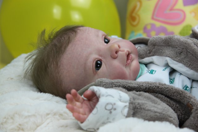 Софийкин! Кукленок реборн Виктории Вишни