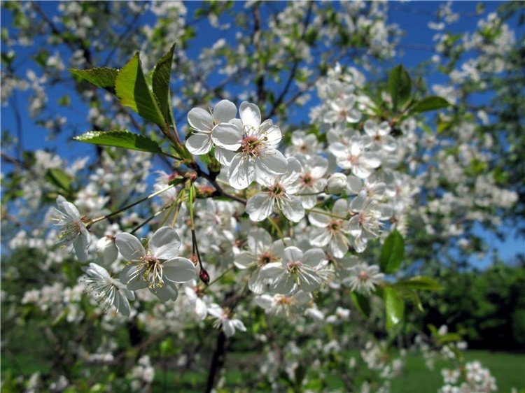 Субботний вояж. Часть первая