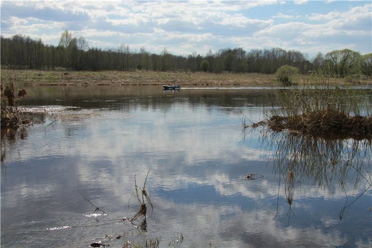 На водопад с Райли. Riley от автора Helen Kish