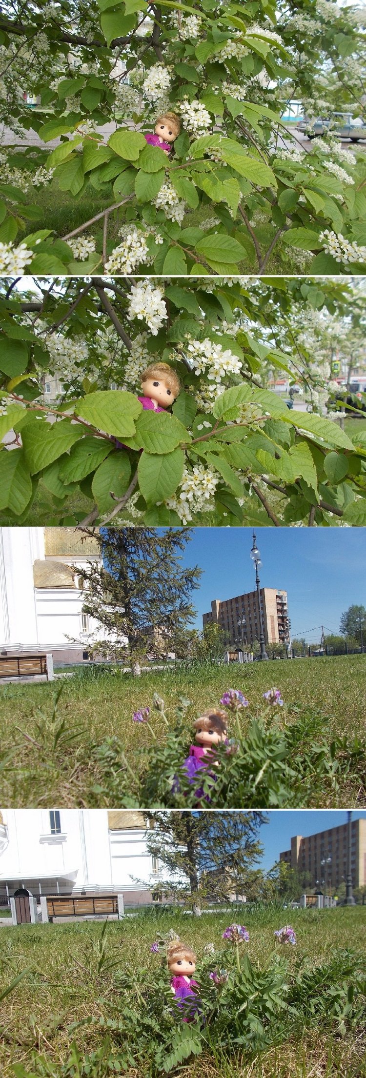 Майские денёчки — Болталка и разговоры обо всем: жизнь (фото 8)
