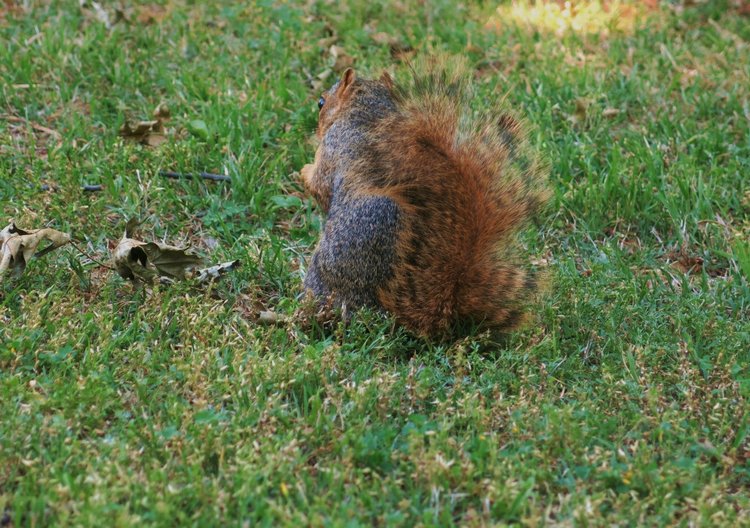 Субботняя прогулка — Болталка и разговоры обо всем: жизнь (фото 4)