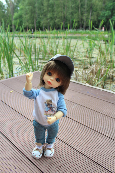 У Московского пруда. Или куда деваются утки (фото 2)