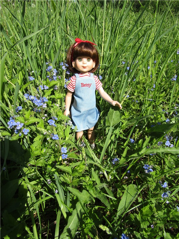 Бетси Robert Tonner. С красным бантом по зеленому лугу