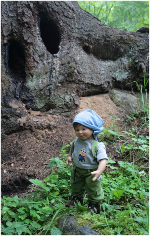 Как мы горы покоряли — Куклы Rosemarie Anna Muller (Мюллер): Вихтели (Wichtel)