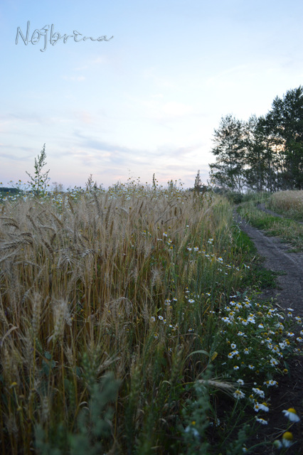 Туристы. Коллекционная кукла Линда и Среда