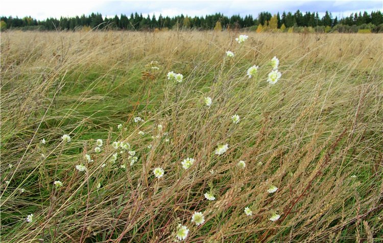 Тверской Водопад — Туризм и путешествия: фотоотчеты из поездок