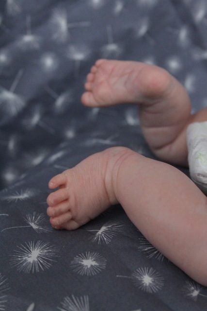 Моя прелесть кукла реборн Элины Кудрявцевой