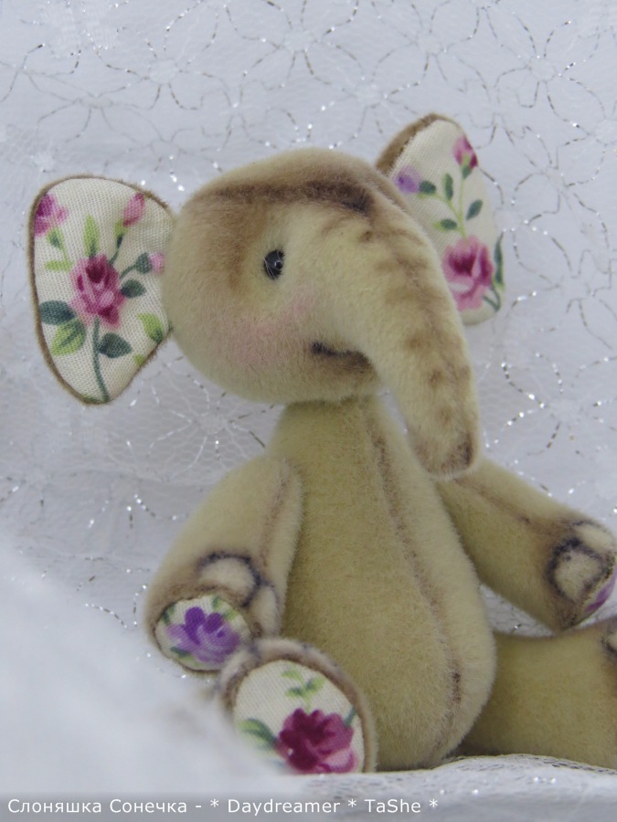 И теперь уже второй слоненок... и снова девочка (фото 8)