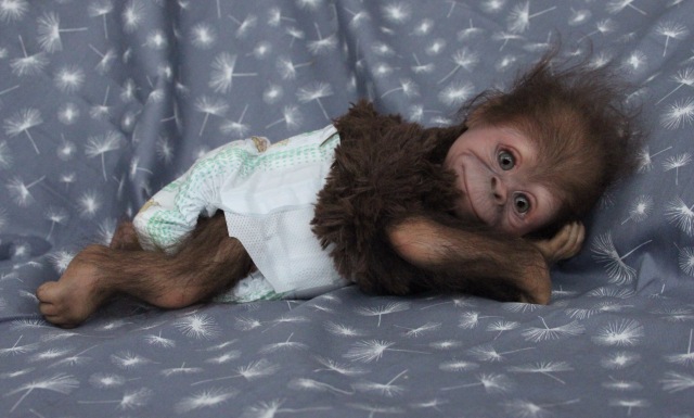 Клёпочка, кукла реборн Элины Кудрявцевой