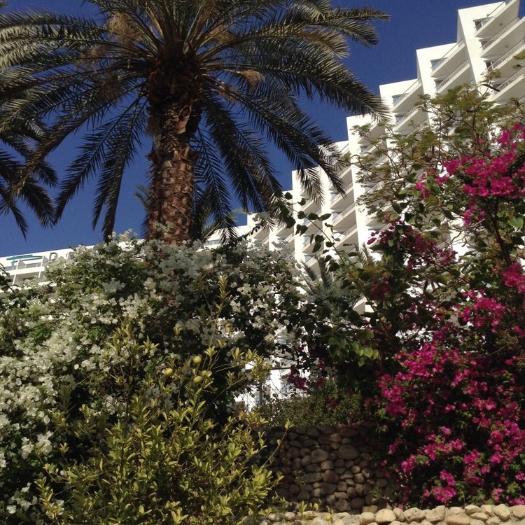 Белое солнце пустыни. Ч.1 Дорога к морю