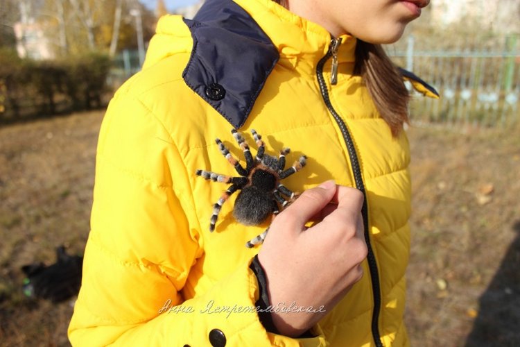 Гриша — Валяные игрушки из шерсти: сухое валяние (фото 7)