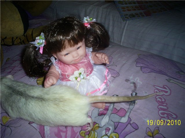 Маленькая игрушка Марфушка (фото 10)