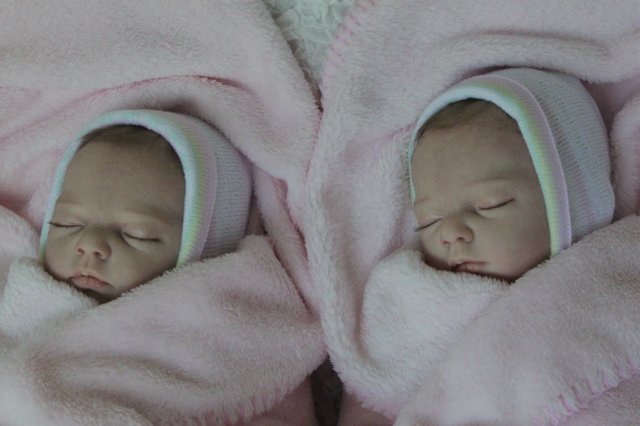 Одинаковые дочки... Куколки реборн Виктории Вишни