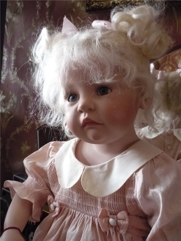 К нам приехала маленькая Холли ( Тонечка) (фото 2)