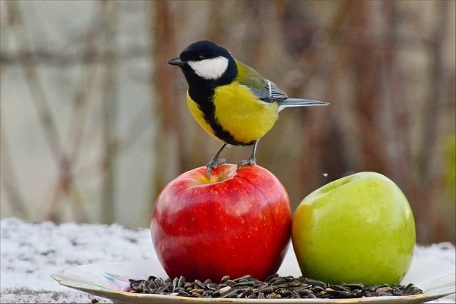 Была журавликом в небе, а стала синичкою в руке. Куклы Beatrice Perini для Gotz