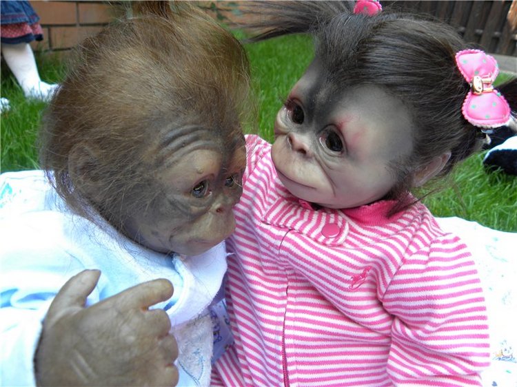 Необычное пополнение в моем доме